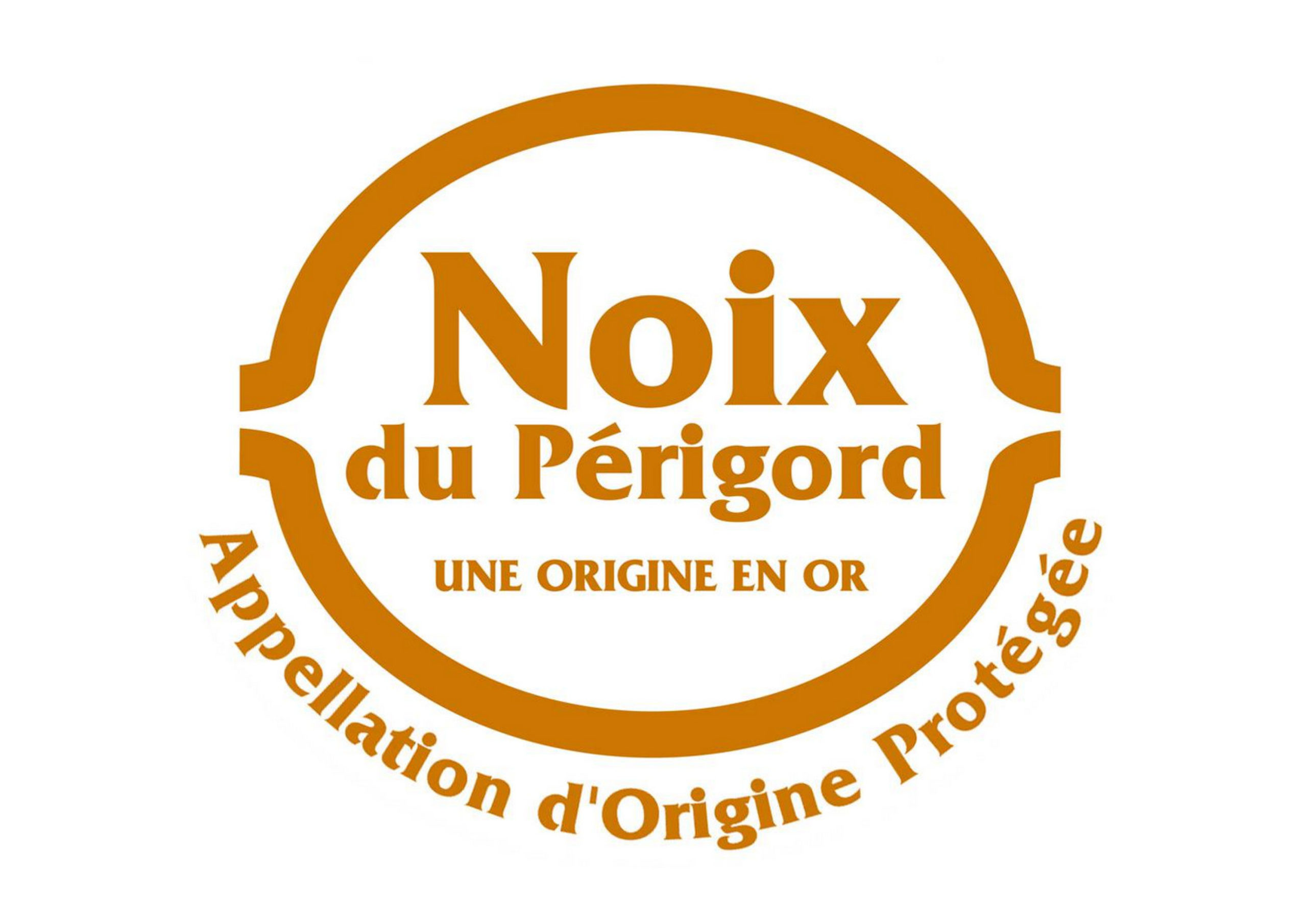 LOGO AOP ORANGE